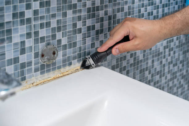Best Emergency Mold Removal  in Bruceton, TN