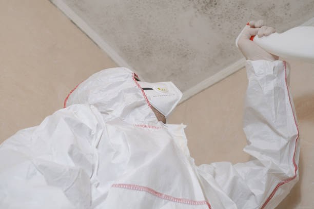 Best Office Mold Removal Services  in Bruceton, TN